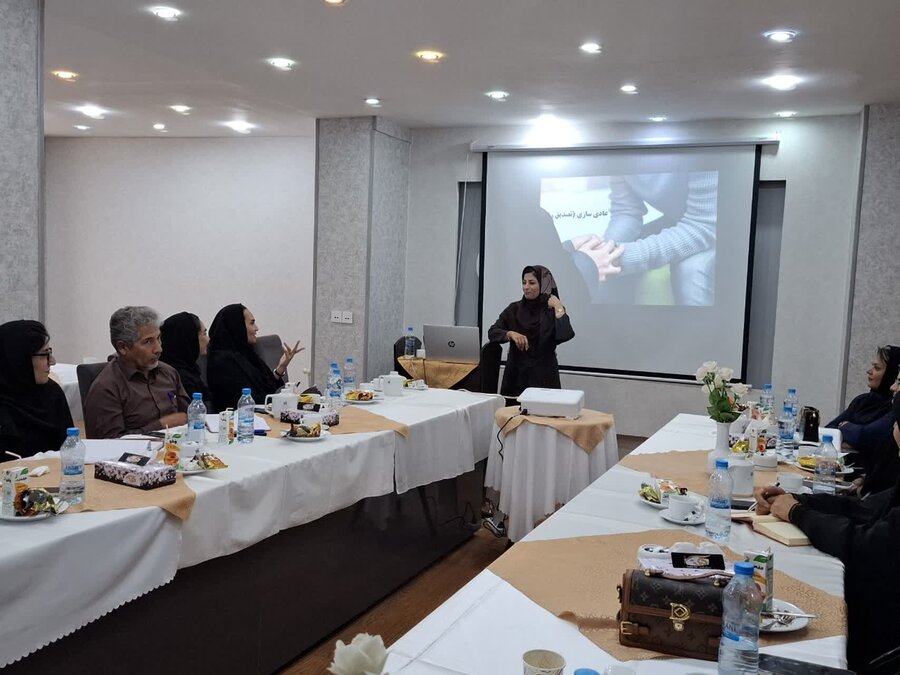  کارگاه آموزشی «مداخله در رفتارهای خودآسیب‌رسان» درسیرجان برگزارشد